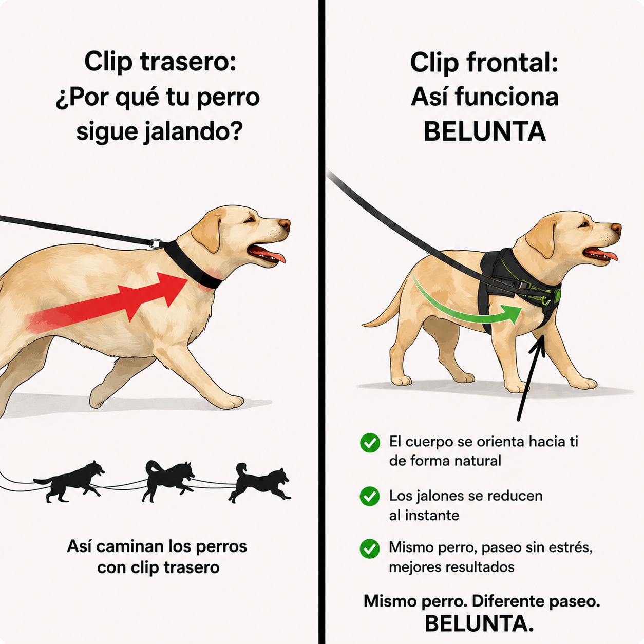 Arnés Antijalones para Perros