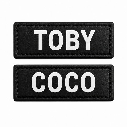 2 + Placa Personalizada GRATIS