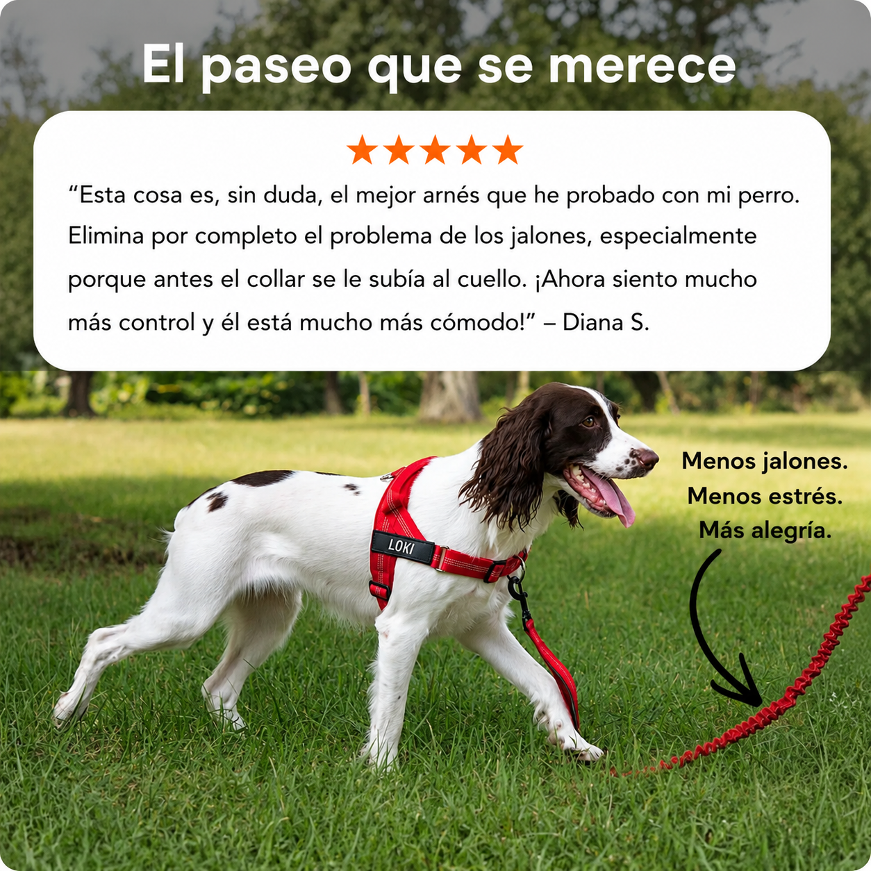 Arnés Antitirones para Perros