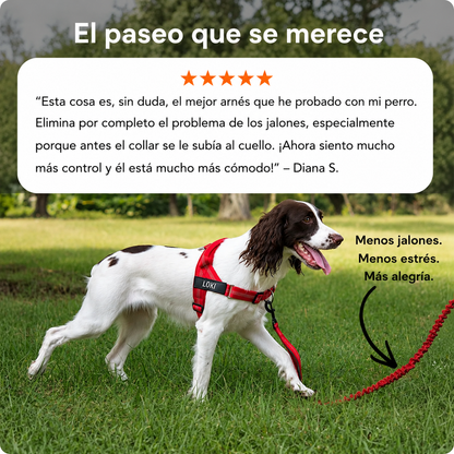 Arnés Antitirones para Perros