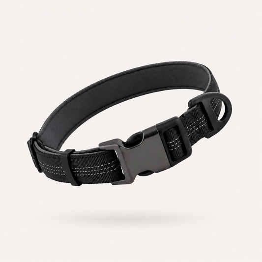 Collar Esencial para Perros